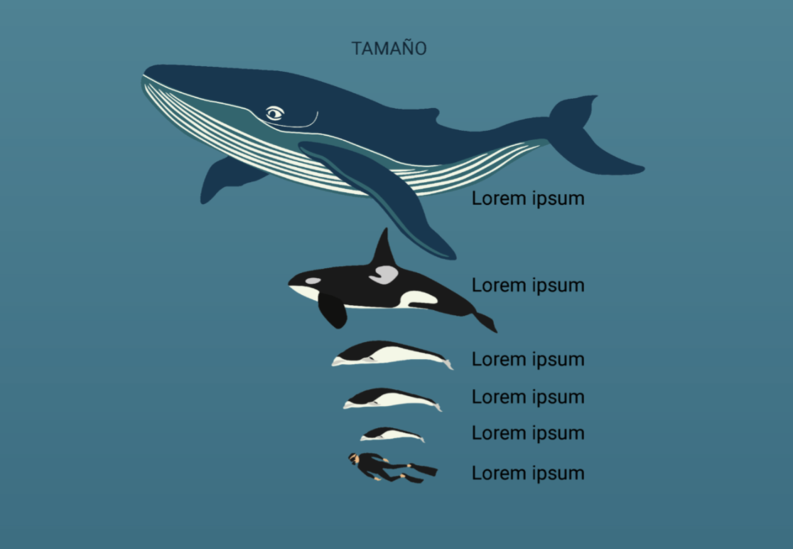 comparacion de tamaños entre especies y genero-edad